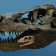 Illustration for article titled Meet T-Rexs Diminutive Ancestor